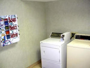 Web-018935e