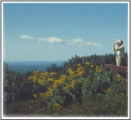 Big Pocono State Park