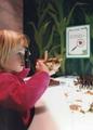 Hands-on House Children's Museum::Hands-on House Children's Museum