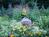Tiffany Gardens Bed and Breakfast::BedAndBreakfast.com