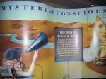 Tech Museum of Innovation (The Tech)