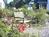 Lucy's Place::BedAndBreakfast.com