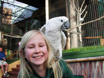 Star Eco Station