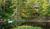 Pearsons Pond Inn And Spa::VirtualTourist