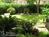 1908 Ayres Inn::BedAndBreakfast.com