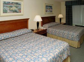 Web-sea_lqfw-rooms-2