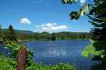 Green Mountain National Forest