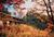 Skyland Resort::ProfessionalTravelGuide.com