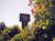 Holiday Inn Express Grants Pass::Priceline.com