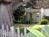 The Joshua Grindle Inn::BedAndBreakfast.com