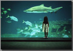 Tn-sharkandgirl