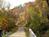 Country Comfort - A Bed and Breakfast::BedAndBreakfast.com