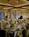 The Rittenhouse Hotel::ProfessionalTravelGuide.com
