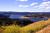 Best Western Black Oak Motor Lodge::Orbitz