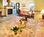 Inn at Cannon Beach::Expedia