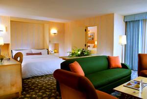 Web-orl_doph-suite-3