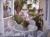Bokeelia Tarpon Inn::BedAndBreakfast.com