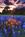 Best Western Inn of Brenham::Orbitz