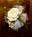 Holiday Inn Hotel And Conf Centre::Orbitz