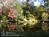 Fox Pond B&B::BedAndBreakfast.com