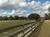 Paynes Prairie State Preserve::TripAdvisor
