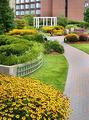 Tn-bos_marr-eview-1