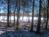 The Resort at Mountain Springs Lake::TripAdvisor