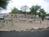 Westward Look Resort::TripAdvisor