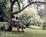 4-1/2 Street Inn::BedAndBreakfast.com