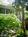 Bed & Breakfast Inn::BedAndBreakfast.com