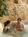 Holiday Inn Amana Colonies from Orbitz
