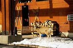 Yellowstone Village Inn