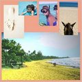 Villa Montana Beach Resort::Yahoo! Travel