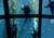 Monterey Bay Aquarium::Yahoo! travel