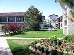 Best Western Motor Inn