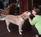 Beechwood Inn - Bed Breakfast and Wine Cellar::TripAdvisor