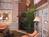 Holiday Inn Express Kingsland::Orbitz