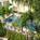 Inn At The Beach::Travelocity.com