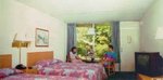 Tn-n23890_room_01_e