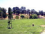Marco Dog Park