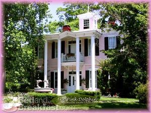 Pink Dolphin::BedAndBreakfast.com