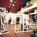 Kings Island Resort::Expedia