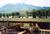 Paradise Gateway B&B & Guest Log Cabins::BedAndBreakfast.com