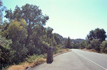 Tn-chili_gulch_plaque_situ