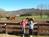 Dillard House Inn::TripAdvisor