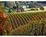 Holiday Inn Hotel and Suites Santa Maria::Orbitz
