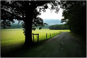 Cades Cove::Extra Medium's Flickr