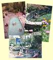 Steamboat Springs Health and Recreational Hot Springs