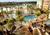 Marriott's Grande Vista::Priceline.com
