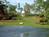 Cypress Gardens::ThrillNetwork.com